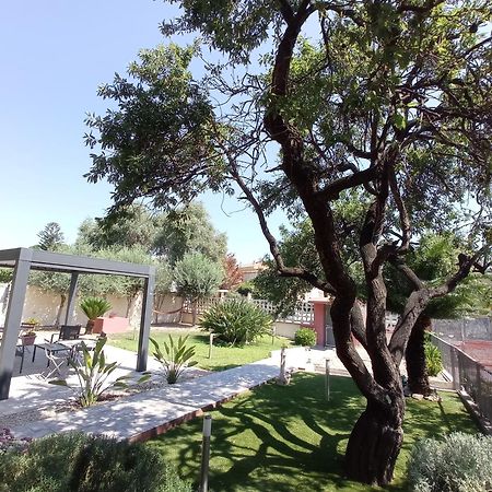 Bed&Breakfast Villa Nora Куарту-Сант'Елена Екстер'єр фото